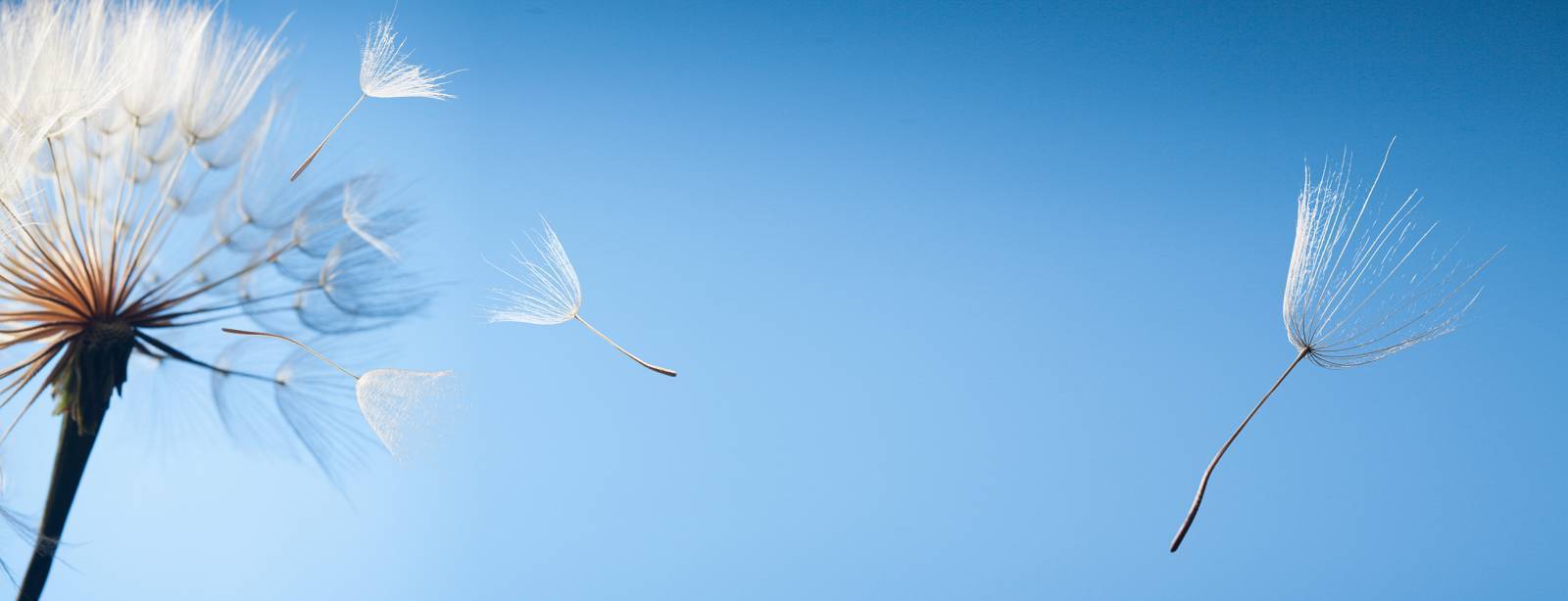 Pompes Funèbres Crematio Obsèques au crématorium Aix-en-Provence La crémation en France