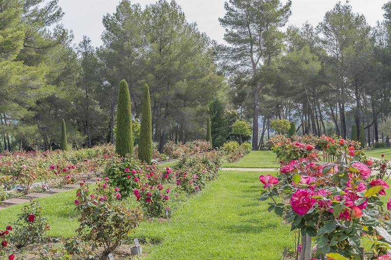 Pompes Funèbres crematio, obsèques au crématorium, le devenir de l'urne et des cendres au crématorium à Aix-en-Provence