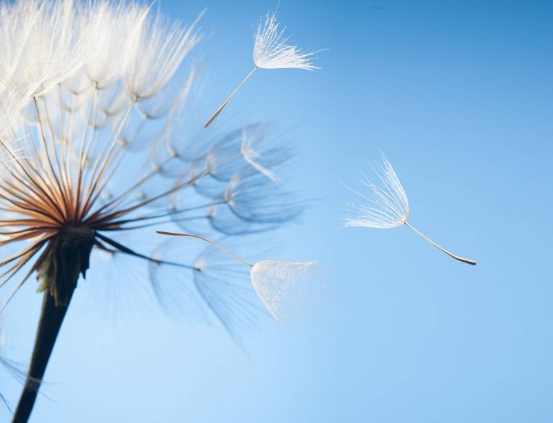 Pompes Funèbres Crematio Obsèques au crématorium Aix-en-Provence dispersion des cendres en pleine nature