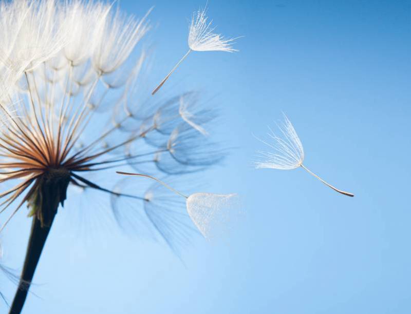 Pompes Funèbres Crematio Obsèques au crématorium Aix-en-Provence dispersion des cendres en pleine nature